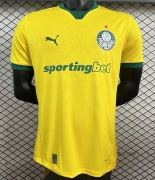 2526 Palmeiras Third Away Player Version Soccer Jersey